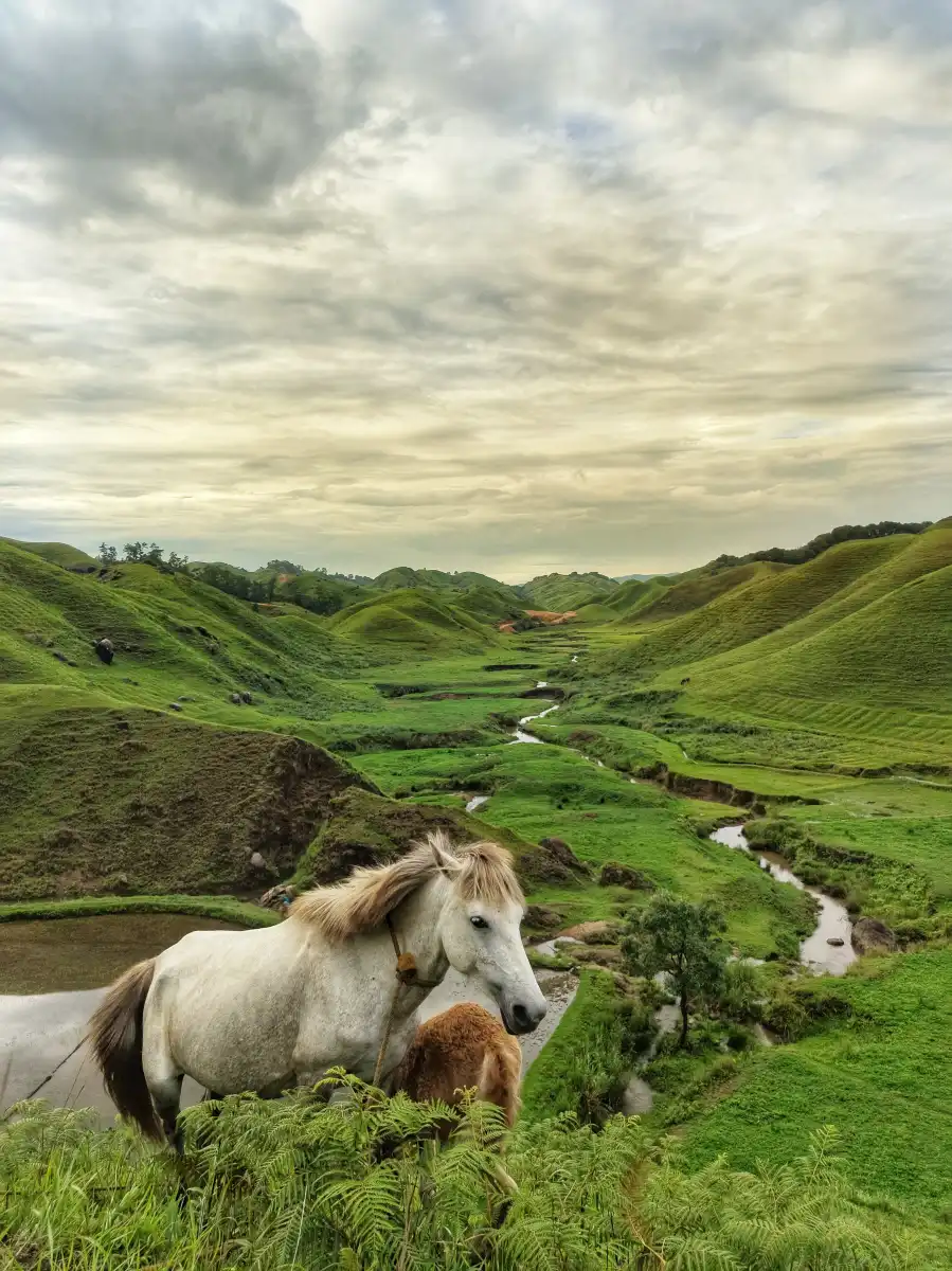 Horse Riding in a Valley